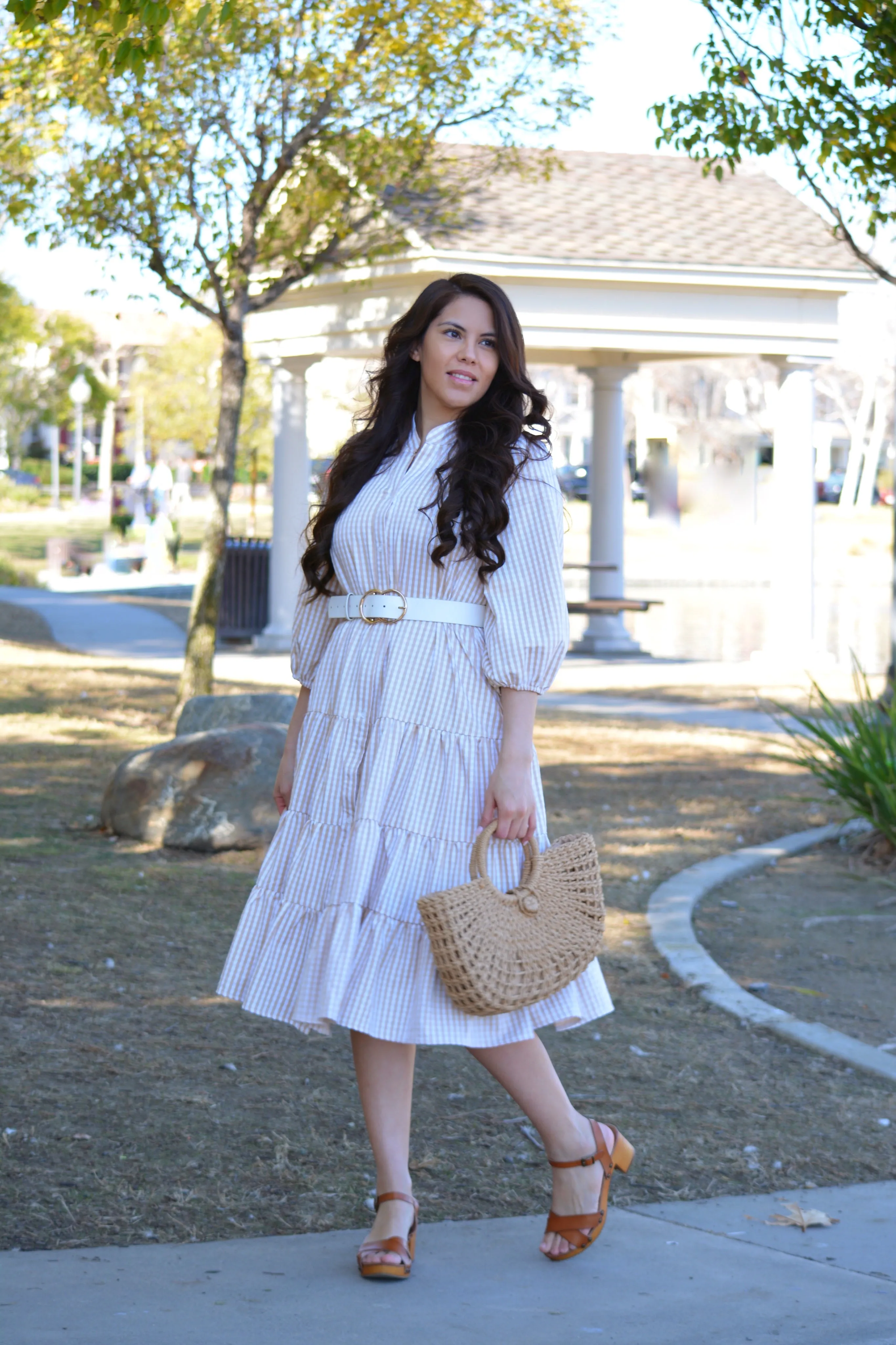 Katrice Tan Gingham  Dress