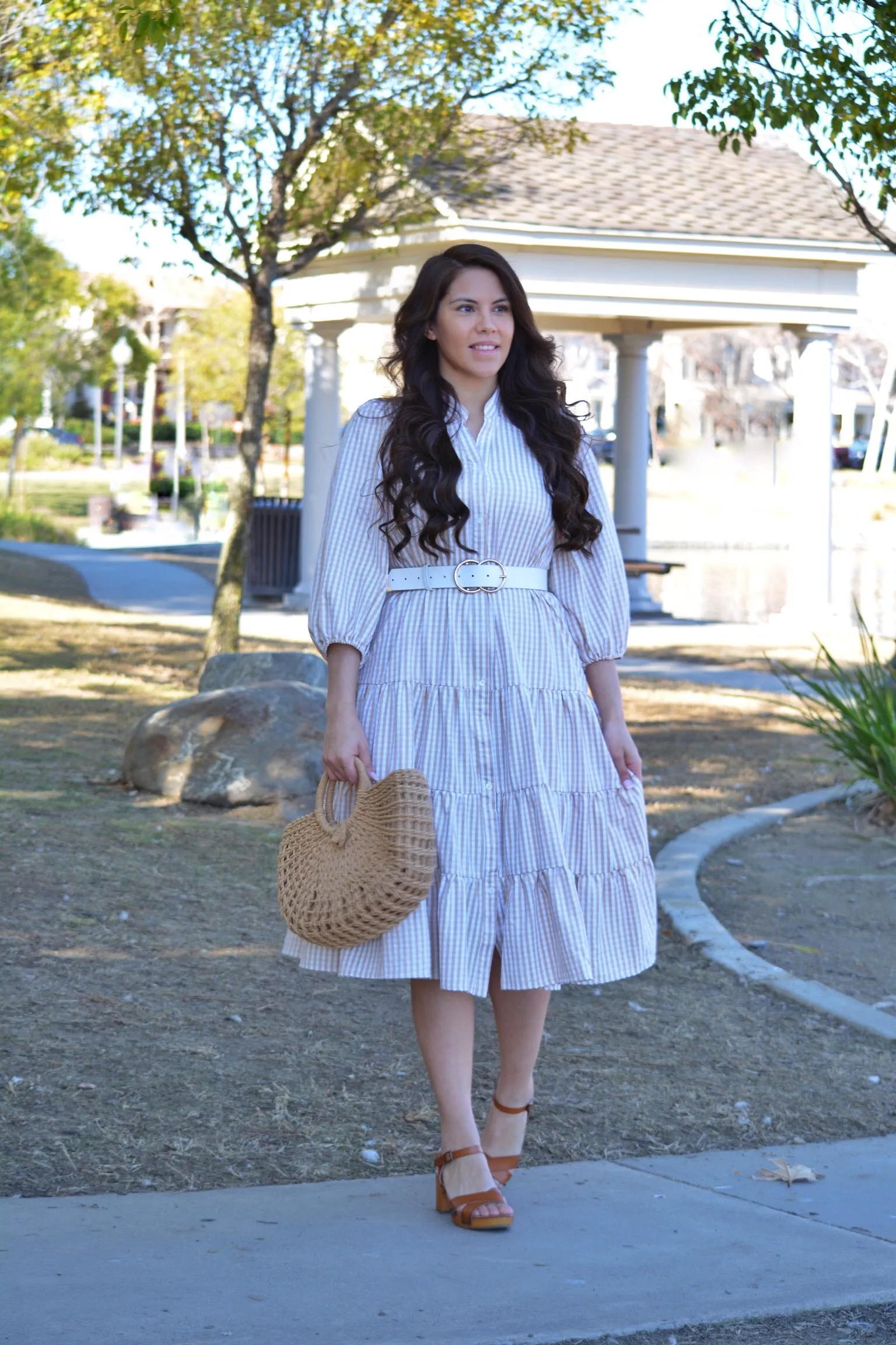 Katrice Tan Gingham  Dress