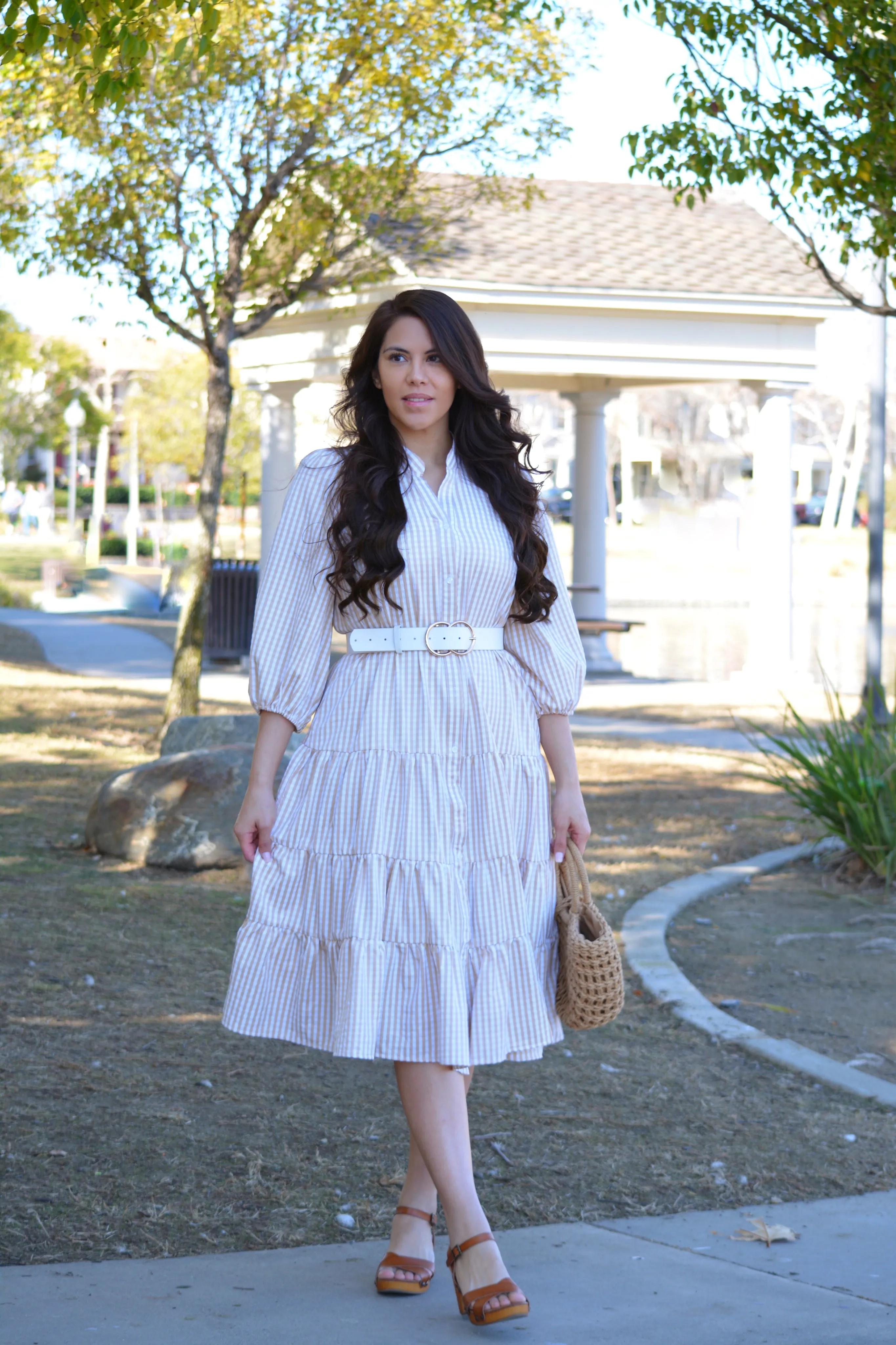 Katrice Tan Gingham  Dress